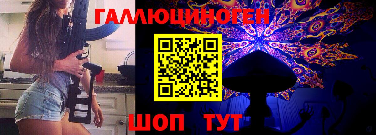 купить   Псилоцибиновые грибы Psilocybe  Вход с VPN  Черногорск 