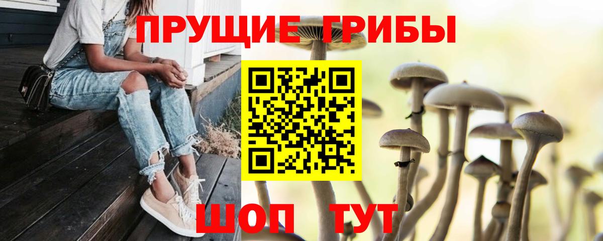 Галлюциногенные грибы MAGIC MUSHROOMS Черногорск